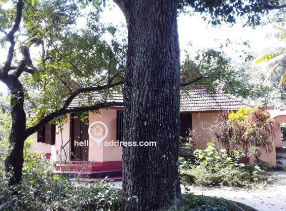 Residential House Villa for Sale