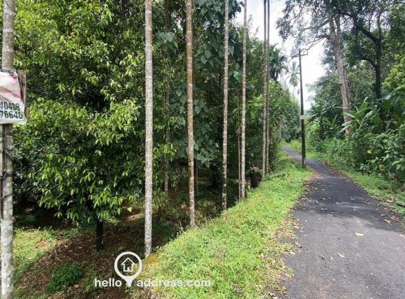 Residential Land for Sale