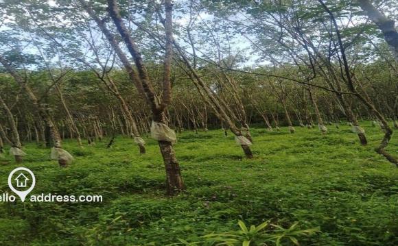Residential Land for Sale