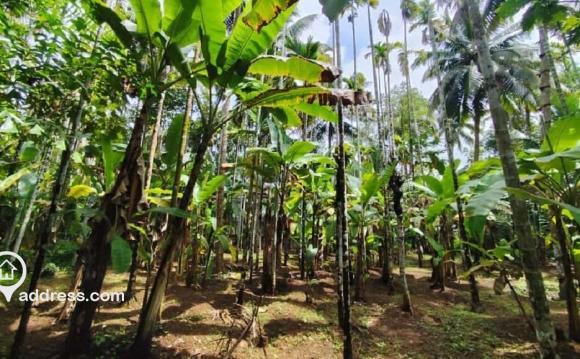 Residential Land for Sale