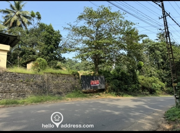 Commercial Land for Sale