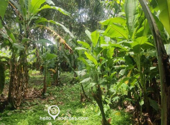Residential Land for Sale