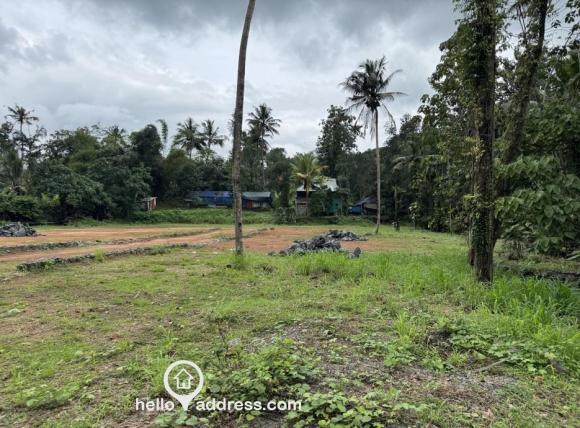 Commercial Land for Sale