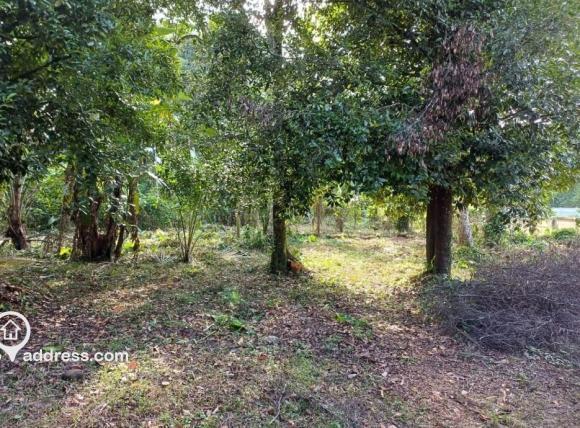 Residential Land for Sale