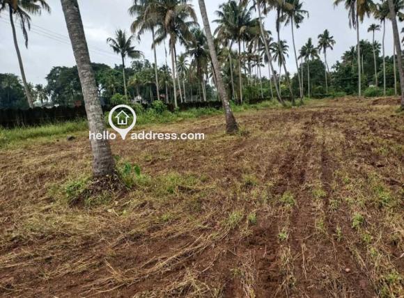 Residential Land for Sale
