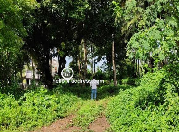 Residential Land for Sale