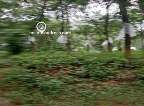 Residential Land for Sale