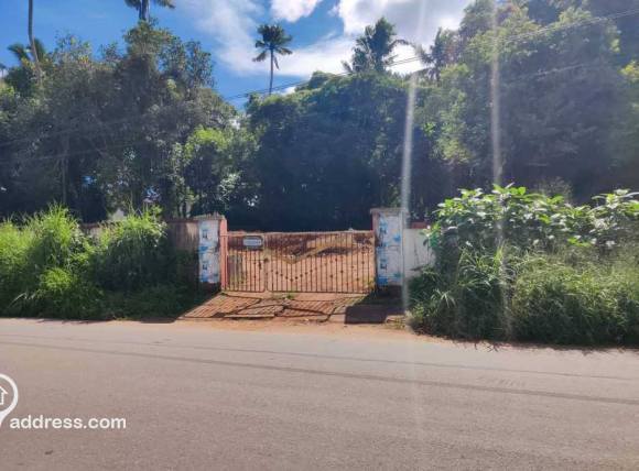 View ofvthe plot from the main road