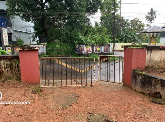 View from inside the plot