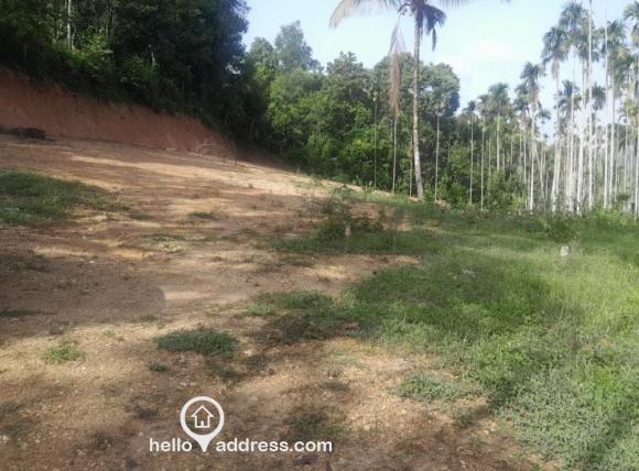 Residential Land for Sale