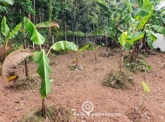 Residential Land for Sale