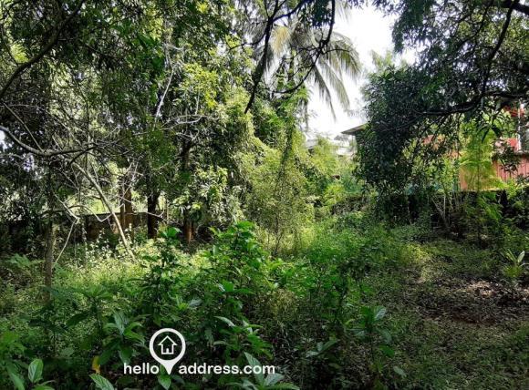 Residential Land for Sale