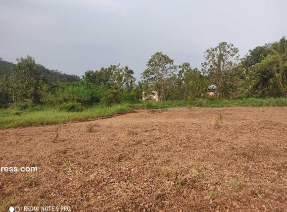 Residential Land for Sale