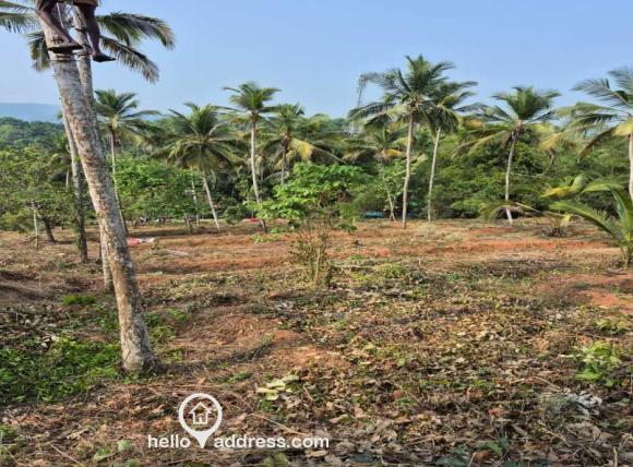 Residential Land for Sale