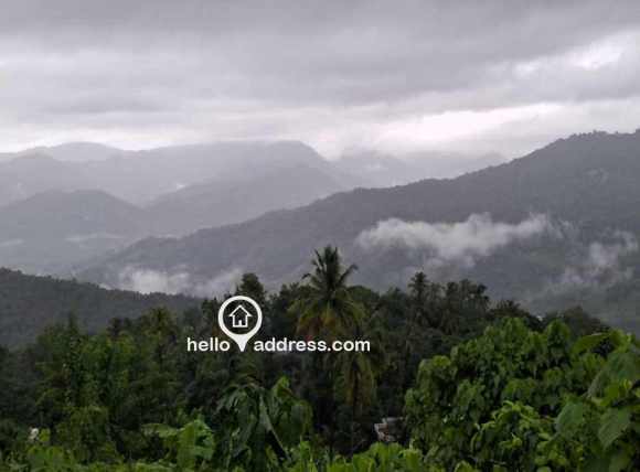 Agricultural Land for Sale