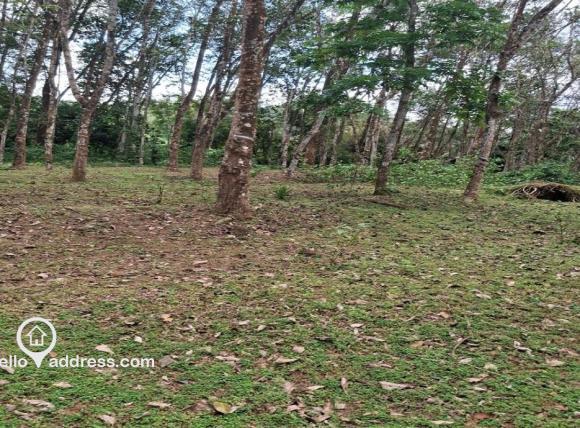 Agricultural Land for Sale
