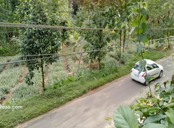 Commercial Land for Sale
