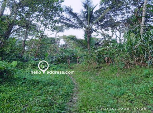 Residential Land for Sale