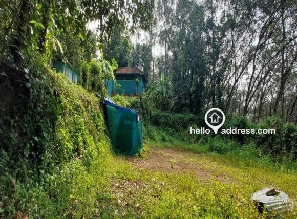 വാണിജ്യ ഭൂമി വില്പനയ്ക്ക് 