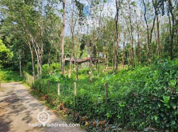 Residential Land for Sale