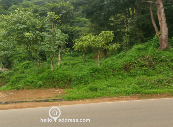 Commercial Land for Sale