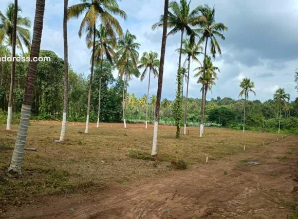Residential Land for Sale