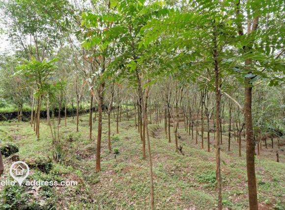 Residential Land for Sale