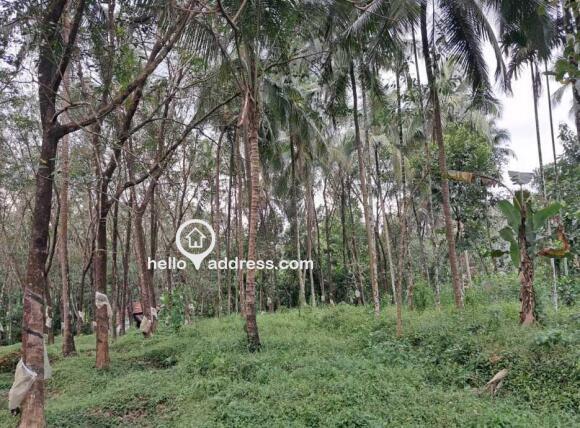Residential Land for Sale