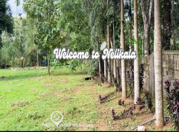 Residential Land for Sale