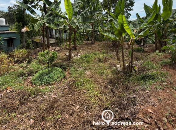 Commercial Land for Sale