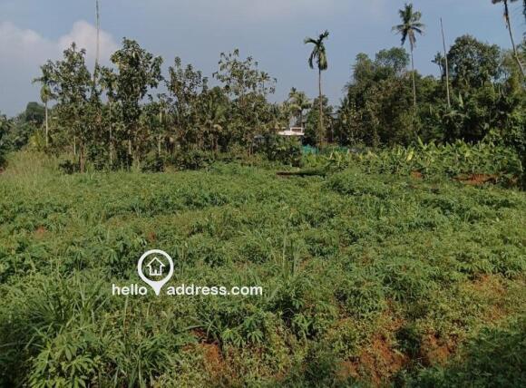 Residential Land for Sale