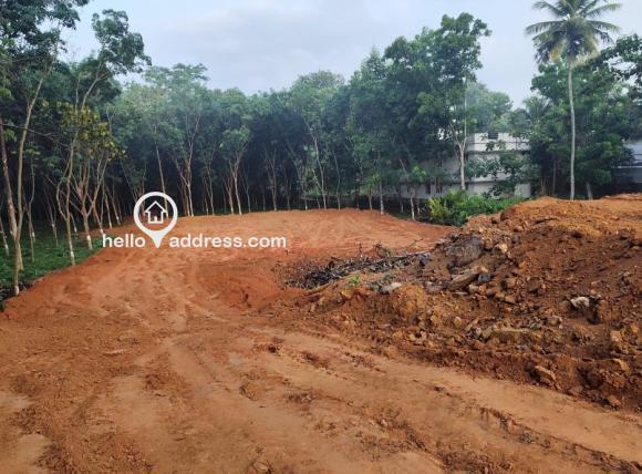 Commercial Land for Rent