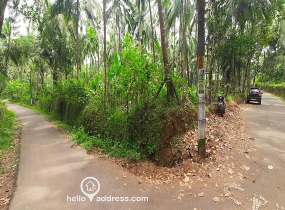 വാസയോഗ്യമായ ഭൂമി വില്പനയ്ക്ക് 