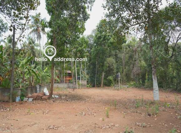 Residential Land for Sale