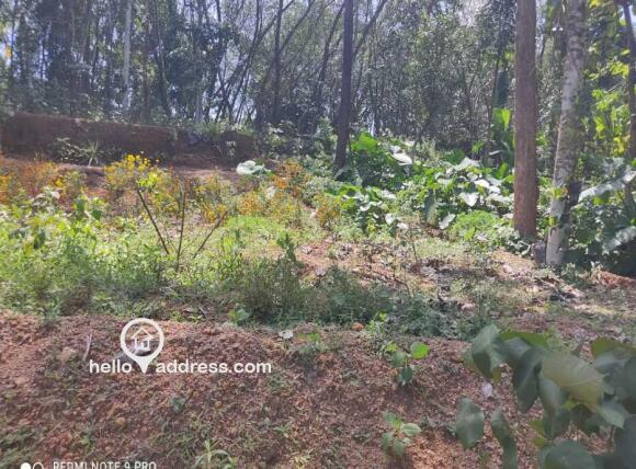 Residential Land for Sale