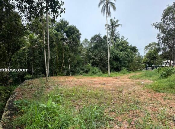 Commercial Land for Sale