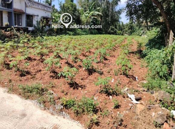 Residential Land for Sale