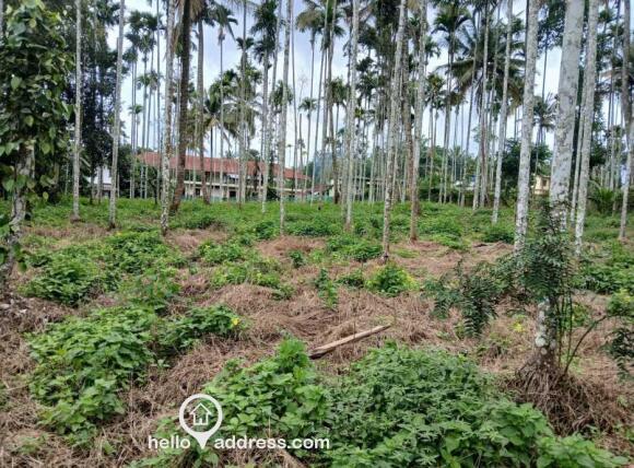 Residential Land for Sale