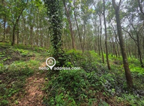 Agricultural Land for Sale