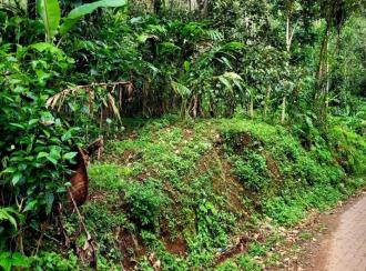 Residential Land for Sale in Idukki, Munnar, Anachal