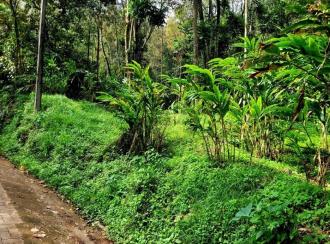Residential Land for SaleIdukki, Munnar, Anachal