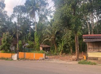 Residential Land for Sale in Kottayam, Pala, Valavoor