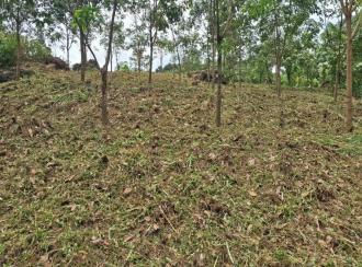 Residential Land for Sale
