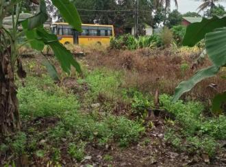 Residential Land for SaleKottayam, Changanassery, Kurichy