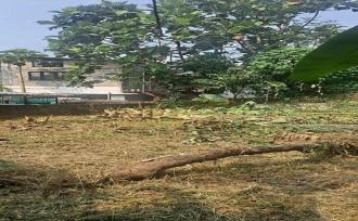 Residential Land for SaleKottayam, Kottayam town, Eranjal