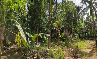 Residential Land for Sale in Idukki, Thodupuzha, Karikkode, karikodu