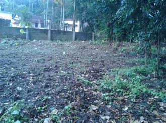 Residential Land for Sale in Kottayam, Kottayam town, Pallom