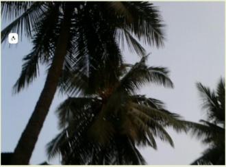 Residential Land for Sale in Thrissur, Thrissur, Thrissur town