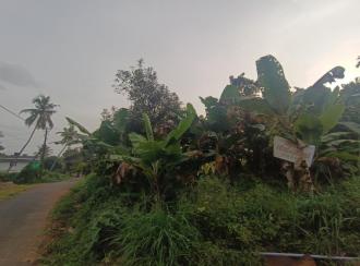 Residential Land for SaleErnakulam, Angamaly, Kodussery