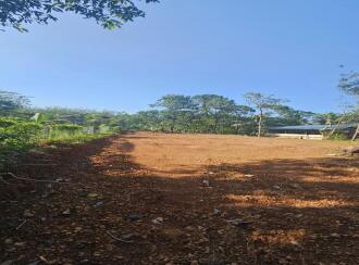 Residential Land for Sale in Kollam, Kottarakkara, Kareepra, KARIKKAL KURISHADI JN